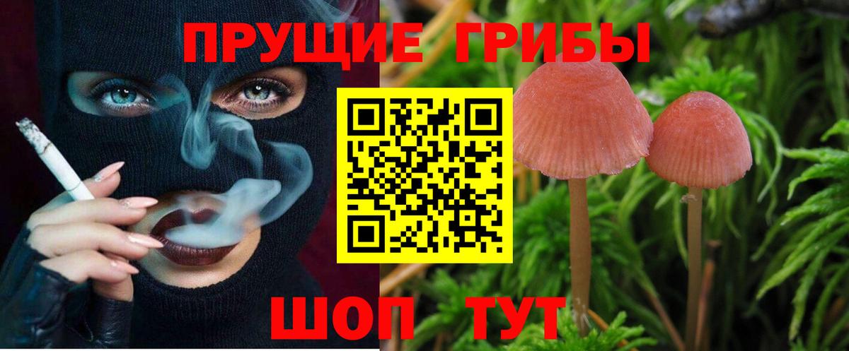 Бузулук  Псилоцибиновые грибы мухоморы  наркошоп  Вход с VPN 